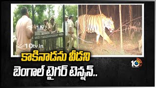 కాకినాడను వీడని బెంగాల్ టైగర్ టెన్షన్.. | Bengal Tiger Roaming At Kakinada | 10TV