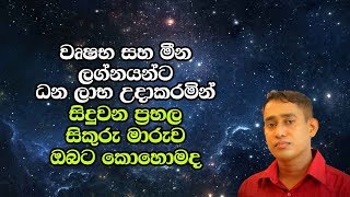 වෘෂභ සහ මීන ලග්නයන්ට ධන ලාභ උදාකරමින් සිදුවන ප්‍රභල සිකුරු මාරුව ඔබට කොහොමද