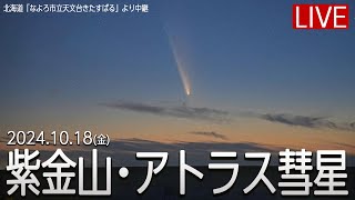 【ライブ】紫金山・アトラス彗星 ライブカメラ／北海道・なよろ市立天文台きたすばるより生中継 2024年10月18日(金)