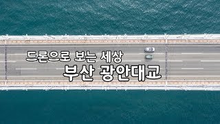 [드론이야기] 부산 광안대교