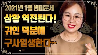 2021년 1월 호랑이띠분들이 놓치면 안될 기회와 사람은?👩‍❤️‍👨 (종합운세 총정리)