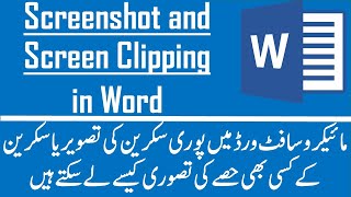 ScreenShot and Screen Clipping in MS Word (Urdu/Hindi)