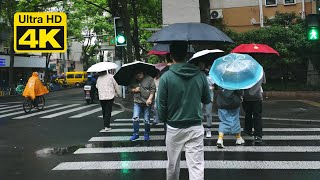 【Shanghai walk 4K】Strolling the streets of Shanghai in the spring rain