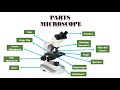 Microscope: Types, Parts and Function