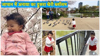 Anaya’s Second Cherry Blossom (Sakura) in Japan 🇯🇵, Highlights and Special Moments #sakura #japan