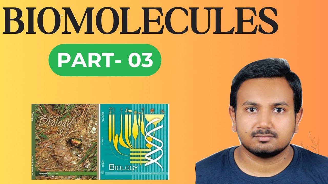 Part 03 Biomolecules Youtube