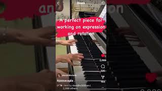 Most expressive Passacaglia video short #passacaglia #expression #händel #halvorsen #pianoandi