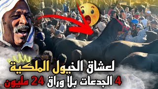 سوق لكفاف اليوم دخلو كسابا كبار دخلو المليح بزاف دخلو  2الخيل تعطات فيهم 16مليون تبارك الله