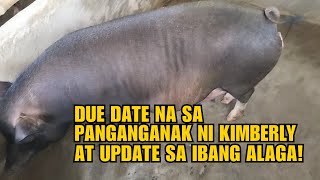 DUE DATE NA SA PANGANGANAK NI KIMBERLY AT UPDATE SA IBANG ALAGA!