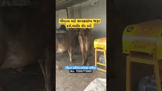 ગૌમાતા એ જ સાચું ધન છે||જય ગૌમાતા || #trending #youtubeshorts #new #shorts #viralvideo #viralshorts