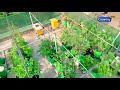 manvasanai promo நிலையான இயற்கை விவசாயம் செய்வது எப்படி organic farming