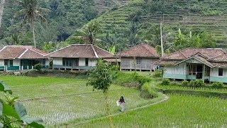 SUASANA Kehidupan Ku Di  desa yang Damai pelosok Desa Jawabarat