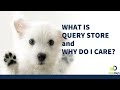 SQL Server Query Store Explained: Performance Tuning Tips for DBAs with Monica Rathbun