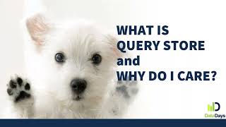 SQL Server Query Store Explained: Performance Tuning Tips for DBAs with Monica Rathbun