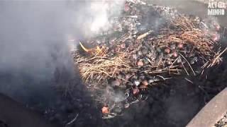 Magusto Tradicional assinala São Martinho em Ponte da Barca | Altominho TV