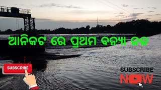 ବୈତରଣୀ ନଦୀ ରେ ପ୍ରଥମ ବନ୍ୟା ଜଳ || Anikot.  flood situation at Anikot||Anikot views