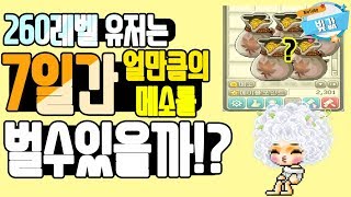 [빚값메튜브]260레벨유저는 일주일간 얼만큼의 메소를 벌까?