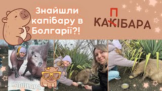 Знайшли капібару в Болгарії?! | Зоопарк Бургас. Все так погано?