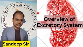 Overview of Excretory System | Anatomy and Physiology | Sandeep Sir Patna | KIMS Patna