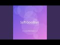 Soft Goodbye