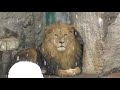 雪の札幌円山動物園~zoo in snow