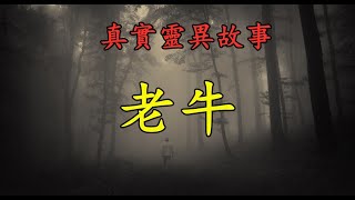 真实灵异故事《老牛》