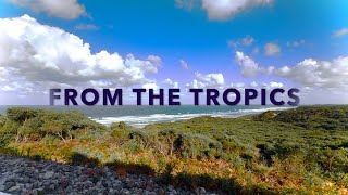 Afro Tech Mix by From the Tropics | Carlita, Adam Ten, Super Flu, Demayä, Themba, Birds of Mind