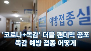 '코로나+독감' 더블 팬데믹 공포…독감 접종 어떻게 [따져보니]