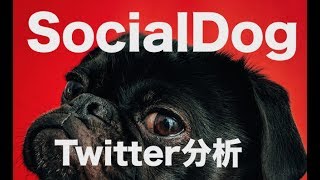 無料ツイッター分析アプリ「SocialDog」を使い倒してフォロワー1万人を目指そう！