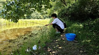 在日本钓小龙虾，5小时掉了半桶龙虾，研修生工作休息，开心的日本生活