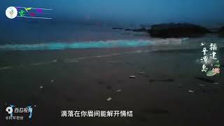 “蓝眼泪”它并不的眼泪，是一类海洋生物，如刺激而发出的蓝光。