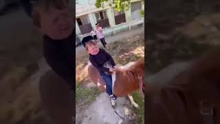 Hasbulla riding horse