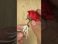 growing roses from flower buds 100% success