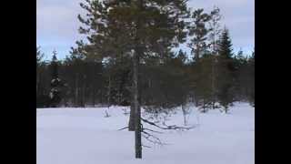 Lapland Suomi 2005 (Re Upload)