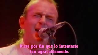 Status Quo - Perfect Remedy (Remedio Perfecto) SUBTITULOS en Español