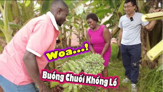 2Q Vlogs||Antonio Maria lần đầu được thu hoạch chuối nhà 2Q|| Cuộc Sống Châu Phi