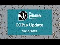 The Wildlife Trusts' #COP16 Update 31/10/2024