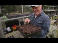 Exciting Progress with Planting My Vegetables Seeds