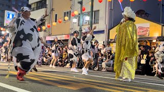 【ホルスタイン連】徳島阿波おどり2024.8.15