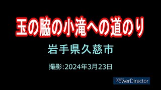 玉の脇の小滝への道のり(岩手県久慈市)20240323