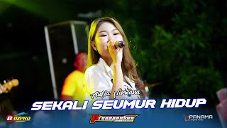 SEKALI SEUMUR HIDUP (LESTY) - AULIA NIRWANA || PRINGGONDANI MAK KETOTOR LIVE PASAR BANGGI REMBANG