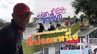 ป.ปลาตาเปี๊ยก EP.38 | ตกแข่งแมตช์แสน ที่บ่อมะหนึ่ง!