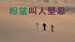 禧福協會 - 盼望叫人堅忍