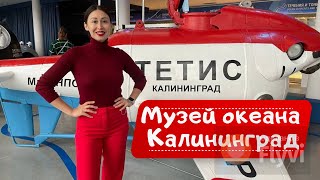 Музей мирового океана в Калининграде. Судно Витязь.