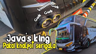 Viral!! Java's king ganti knalpot serigala