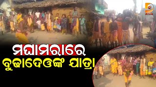 ମଘାମରାରେ ବୁଢାଦେଓଙ୍କ ଯାତ୍ରା | Dumani TV