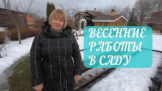 Весенние работы в саду и огороде: с чего начать весну, когда белить деревья, как защитить хвойные