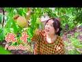 Axia's Peach Soda!【叫我阿霞 Channel】