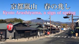 2022年2月28日(月)暖かくなってきた京都嵐山🦆Kyoto Arashiyama, a sign of spring