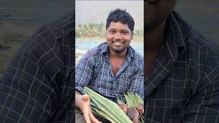 மேட்டூர் விசிறி வலை மீன்|Chekkanur Damசெக்கனுர் அணைக்கட்டு #shorts #fishing #castnet #visirivalai